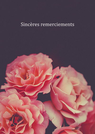 Carte Sincères Remerciements Sur Des Fleurs : Envoyer une Carte Sincères Remerciements Sur Des Fleurs : Envoyer une